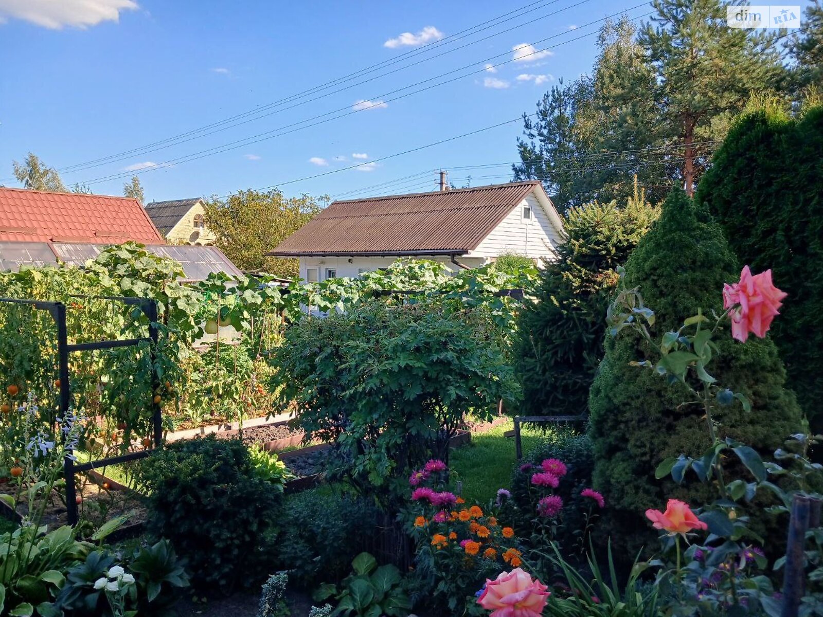 двухэтажный дом с верандой, 107.6 кв. м, кирпич. Продажа в Хлепче фото 1 двухэтажный дом с верандой, 107.6 кв. м, кирпич. Продажа в Хлепче фото 1