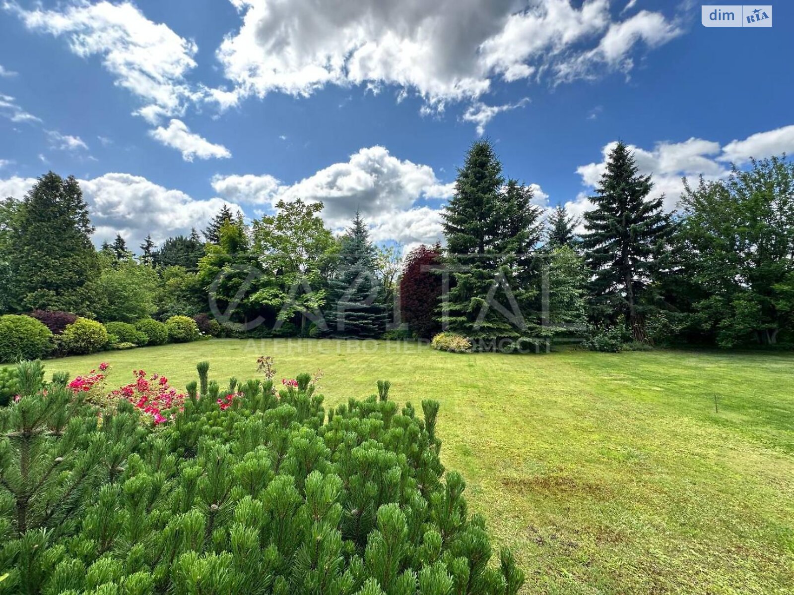 двоповерховий будинок з гаражем, 350 кв. м, цегла. Продаж у Хлепчі фото 1