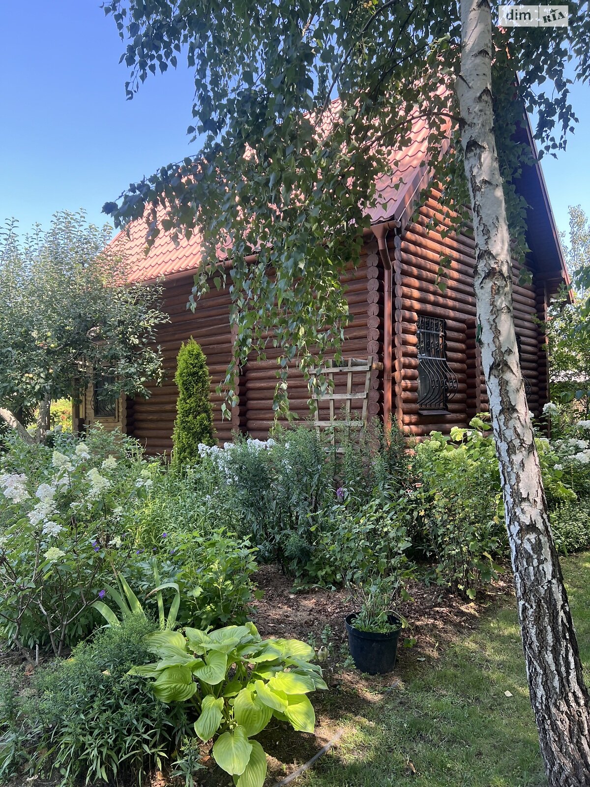 двоповерховий будинок бесідка, 55 кв. м, зруб. Продаж у Хлепчі фото 1