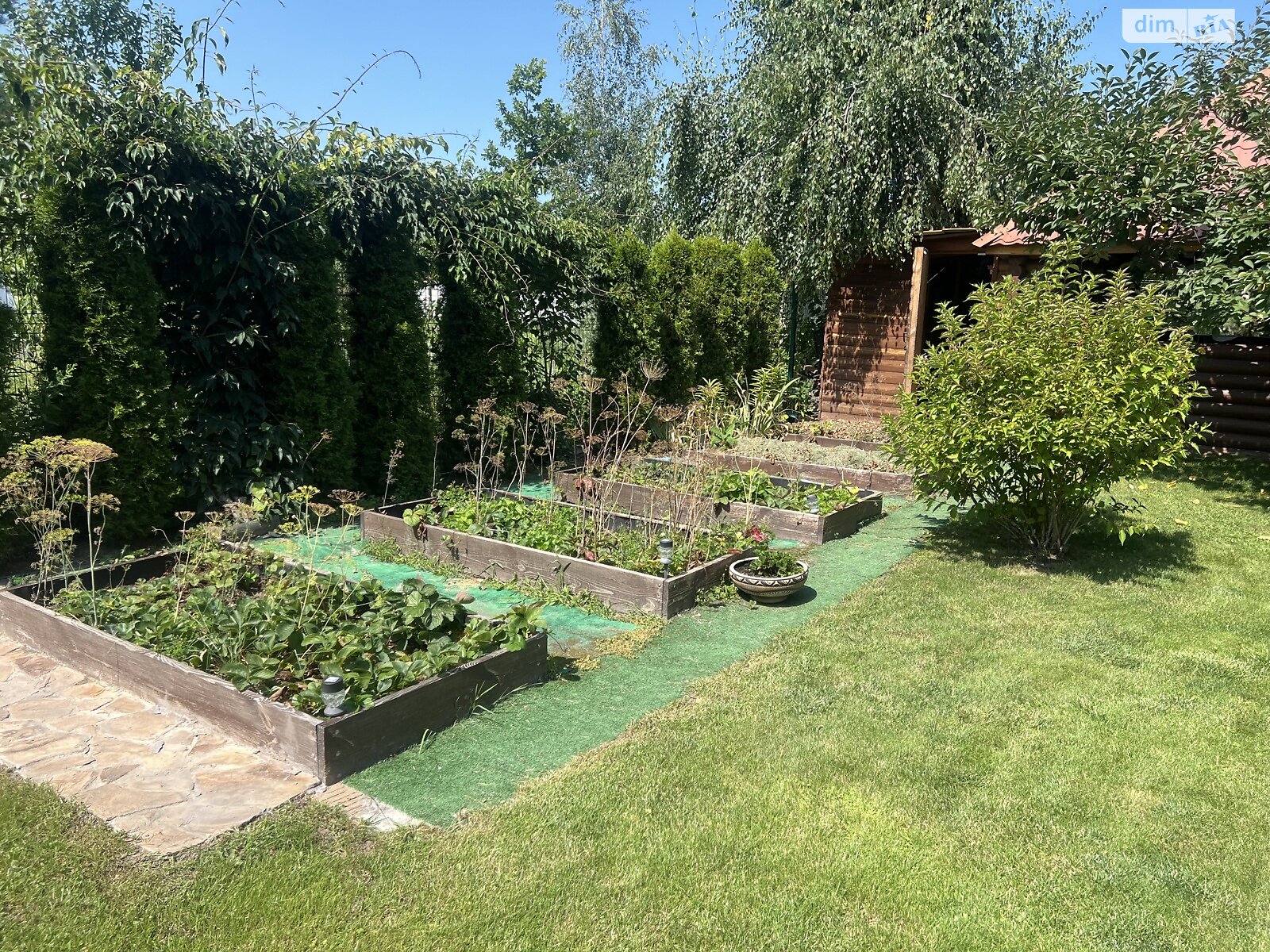 двоповерховий будинок бесідка, 55 кв. м, зруб. Продаж у Хлепчі фото 1