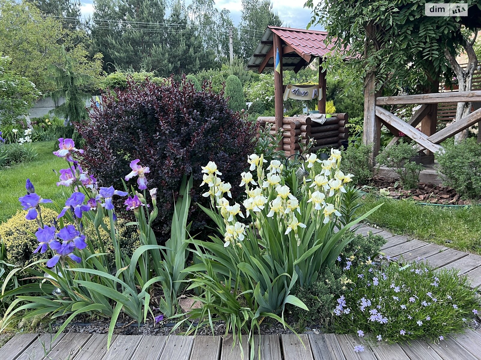 двоповерховий будинок бесідка, 55 кв. м, зруб. Продаж у Хлепчі фото 1