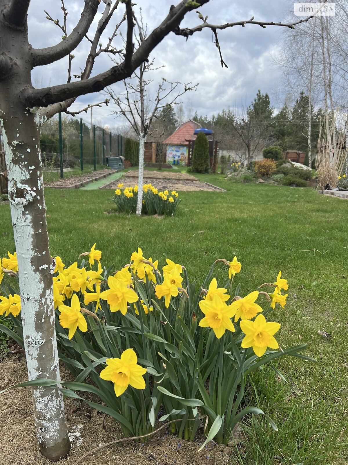 двоповерховий будинок бесідка, 55 кв. м, зруб. Продаж у Хлепчі фото 1