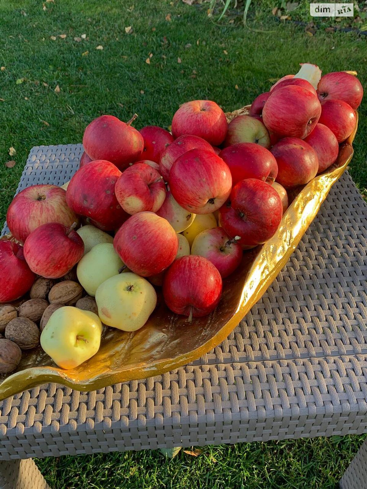 двоповерховий будинок бесідка, 55 кв. м, зруб. Продаж у Хлепчі фото 1