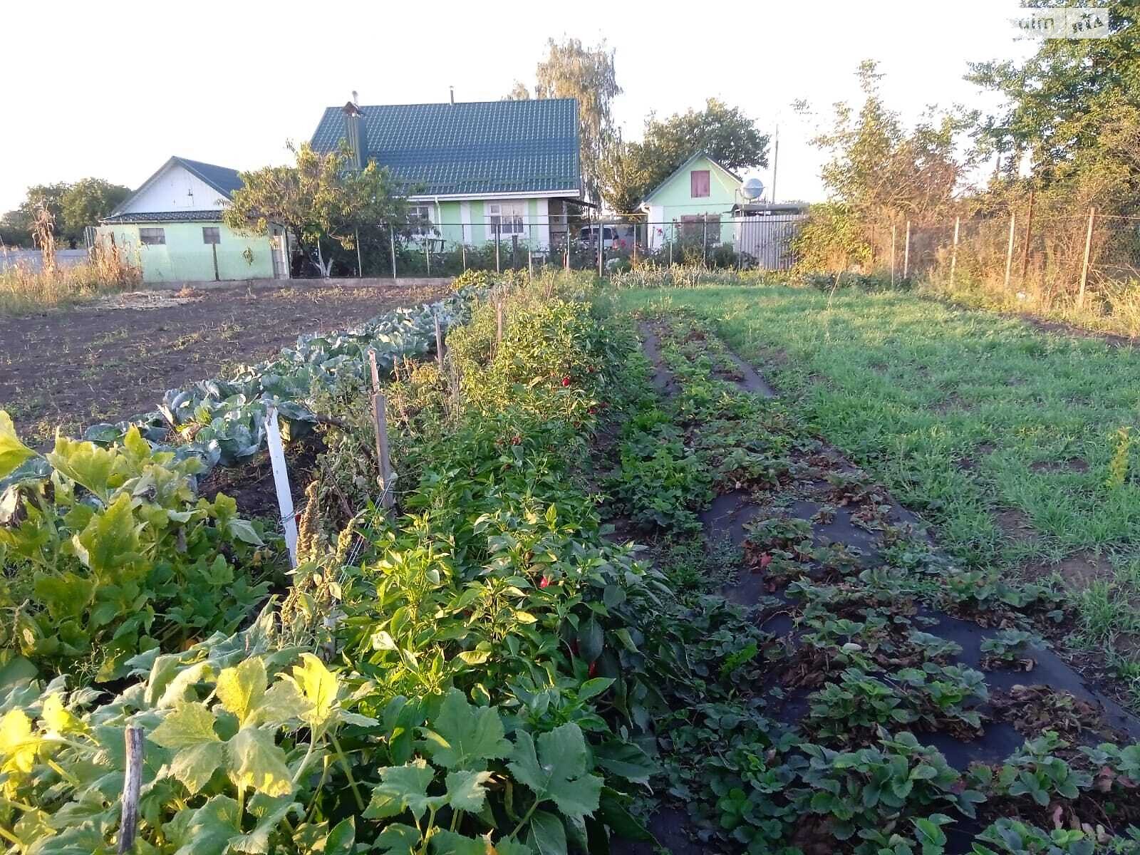 одноповерховий будинок з гаражем, 73 кв. м, цегла. Продаж в Хмільнику, район Хмільник фото 1