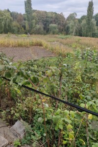 одноповерховий будинок, 65 кв. м, цегла. Продаж у Хмільнику фото 2 одноповерховий будинок, 65 кв. м, цегла. Продаж у Хмільнику фото 2