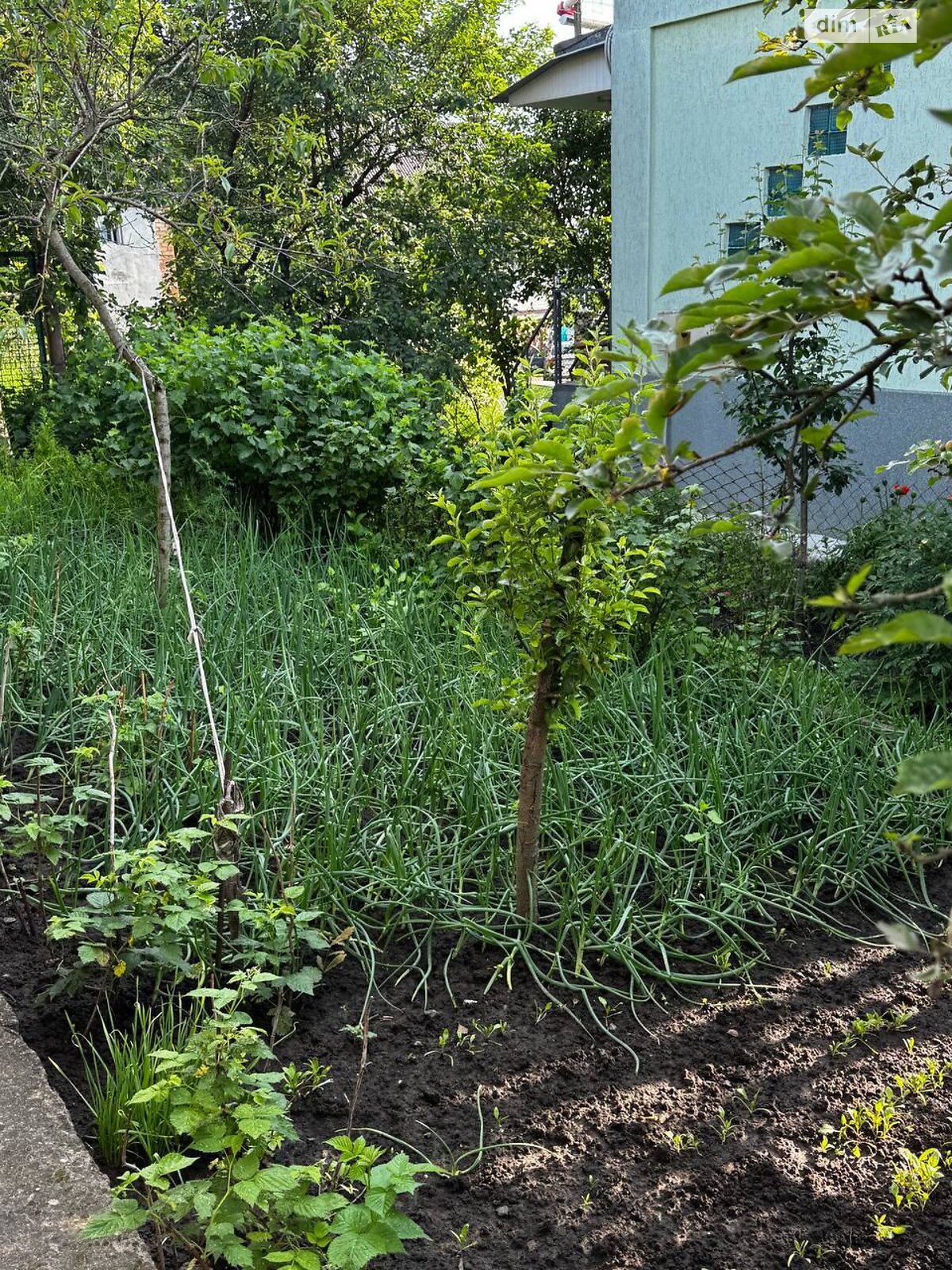 одноповерховий будинок з мансардою, 98.3 кв. м, цегла. Продаж в Хмельницькому, район Дубове фото 1 одноповерховий будинок з мансардою, 98.3 кв. м, цегла. Продаж в Хмельницькому, район Дубове фото 1