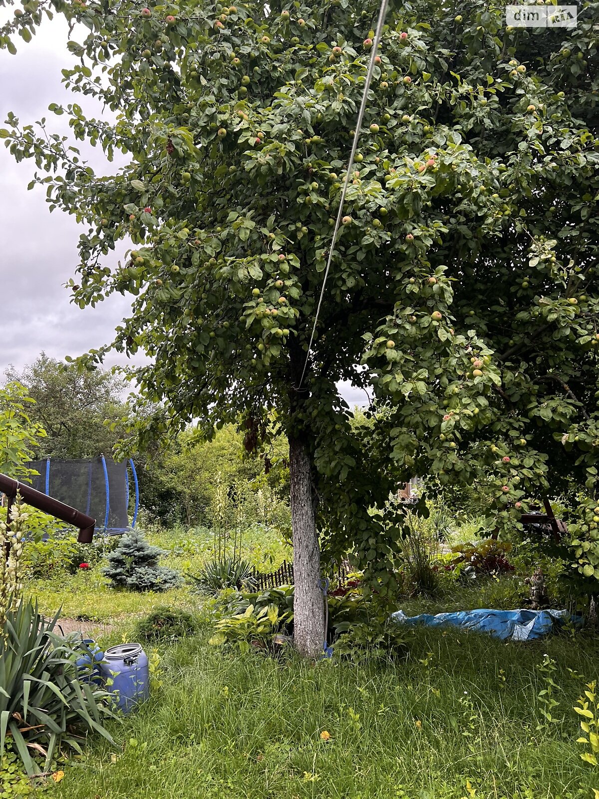 двоповерховий будинок, 60 кв. м, кирпич. Продаж в Хмельницькому, район Дубове фото 1 двоповерховий будинок, 60 кв. м, кирпич. Продаж в Хмельницькому, район Дубове фото 1