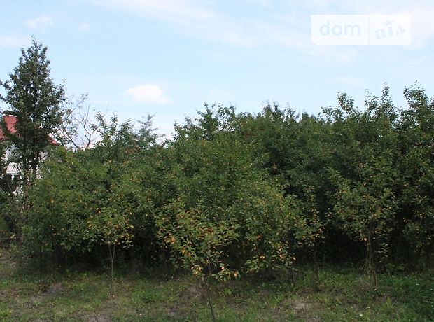 двоповерховий будинок з садом, 500 кв. м, цегла. Продаж в Хмельницькому, район Дубове фото 1 двоповерховий будинок з садом, 500 кв. м, цегла. Продаж в Хмельницькому, район Дубове фото 1