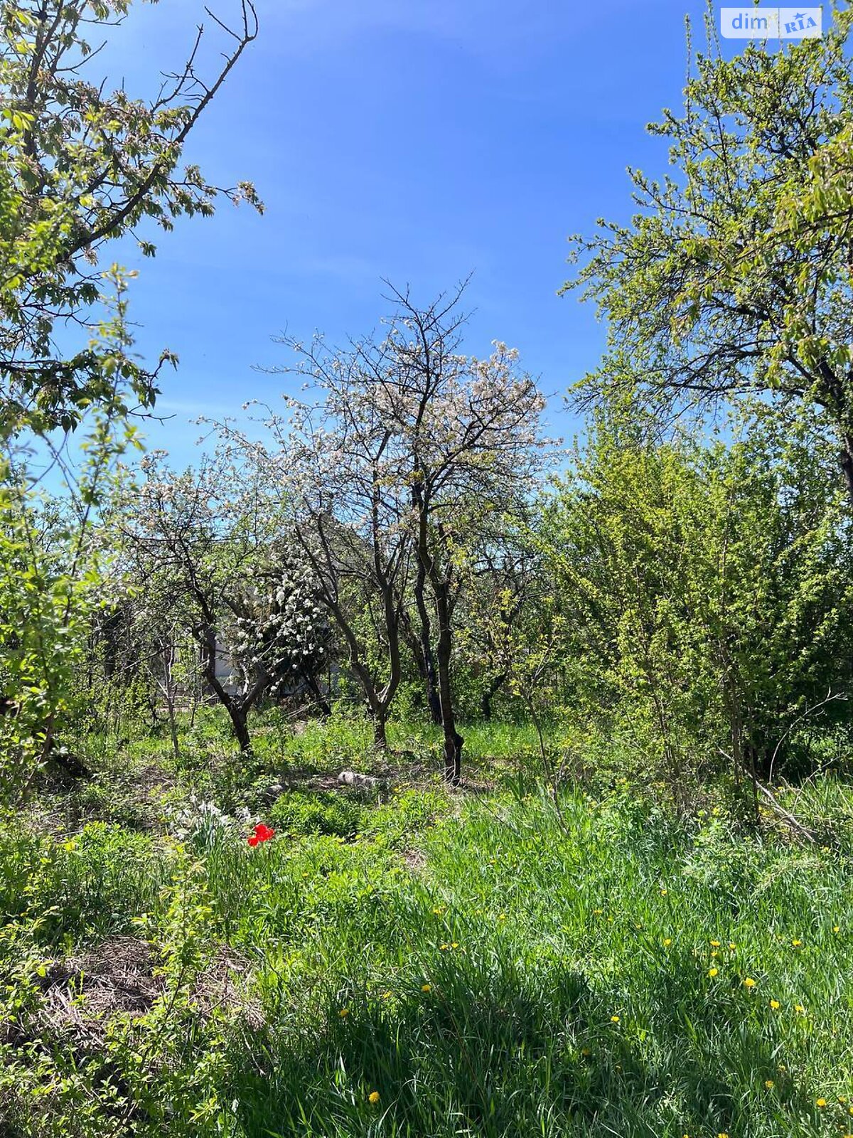 двоповерховий будинок, 230 кв. м, цегла. Продаж у Хмельницькому фото 1 двоповерховий будинок, 230 кв. м, цегла. Продаж у Хмельницькому фото 1