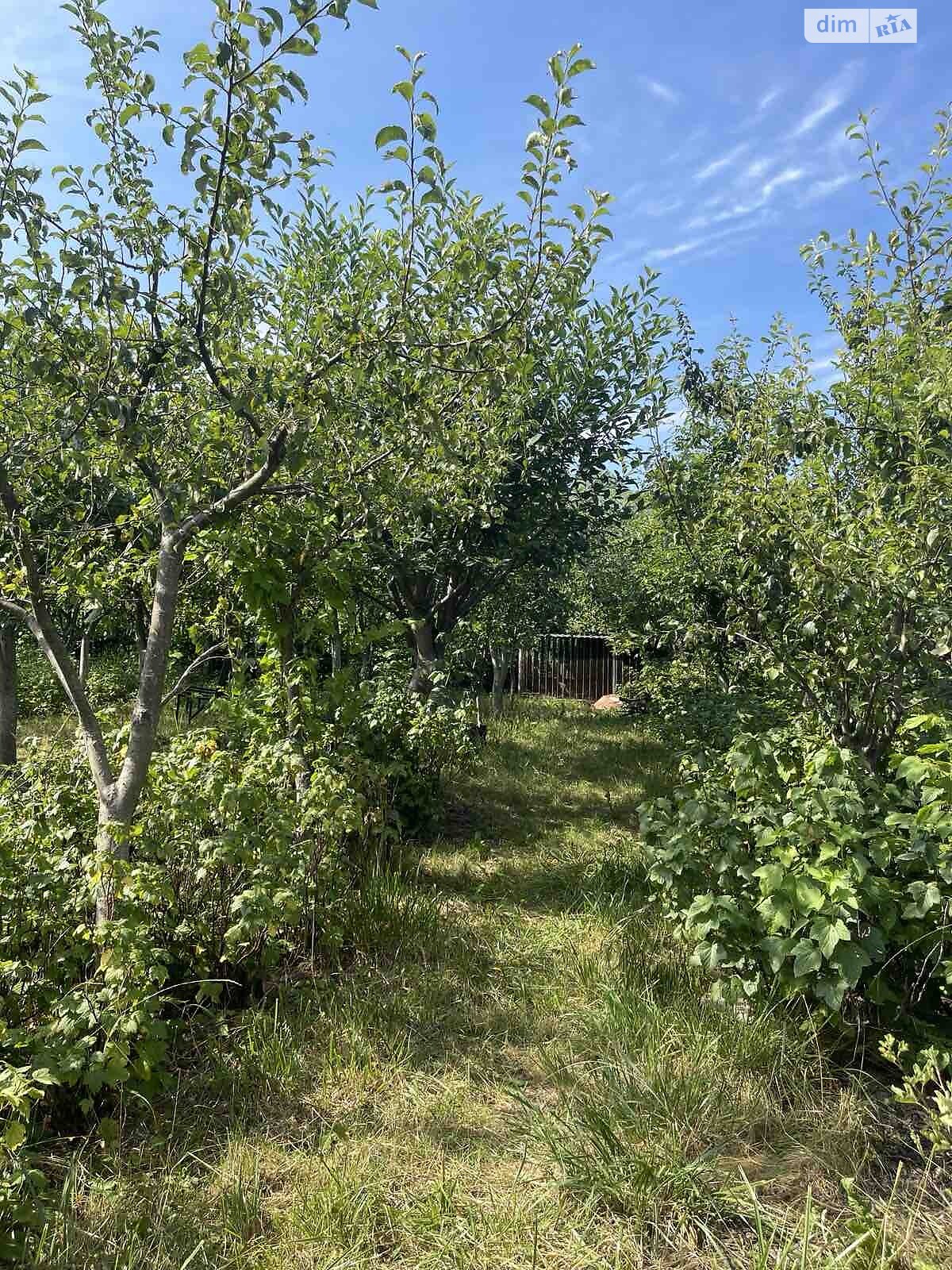 двухэтажный дом, 129 кв. м, ракушечник (ракушняк). Продажа в Хмельницком район Лезневое фото 1 двухэтажный дом, 129 кв. м, ракушечник (ракушняк). Продажа в Хмельницком район Лезневое фото 1