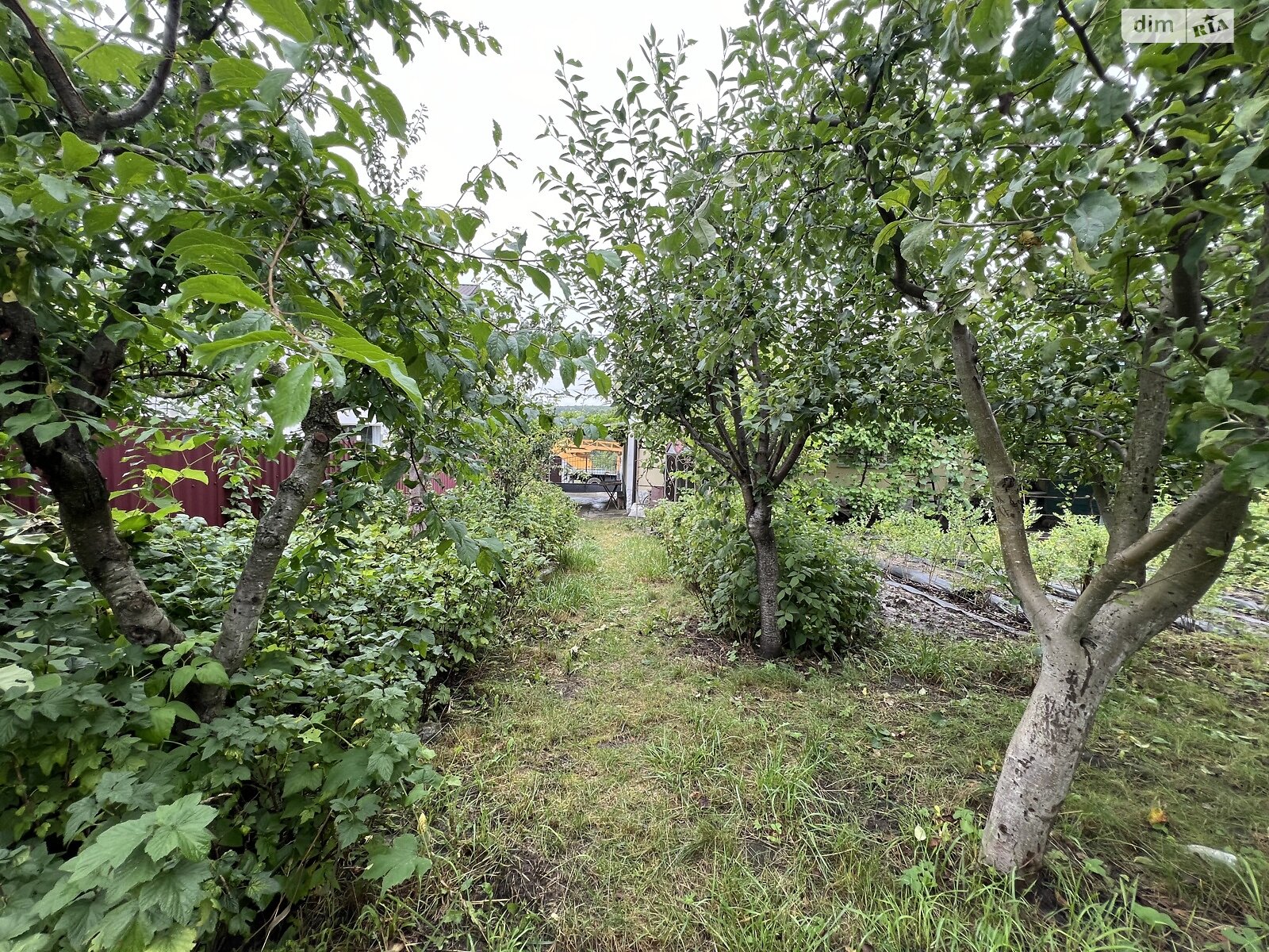 двухэтажный дом, 129 кв. м, ракушечник (ракушняк). Продажа в Хмельницком район Лезневое фото 1 двухэтажный дом, 129 кв. м, ракушечник (ракушняк). Продажа в Хмельницком район Лезневое фото 1