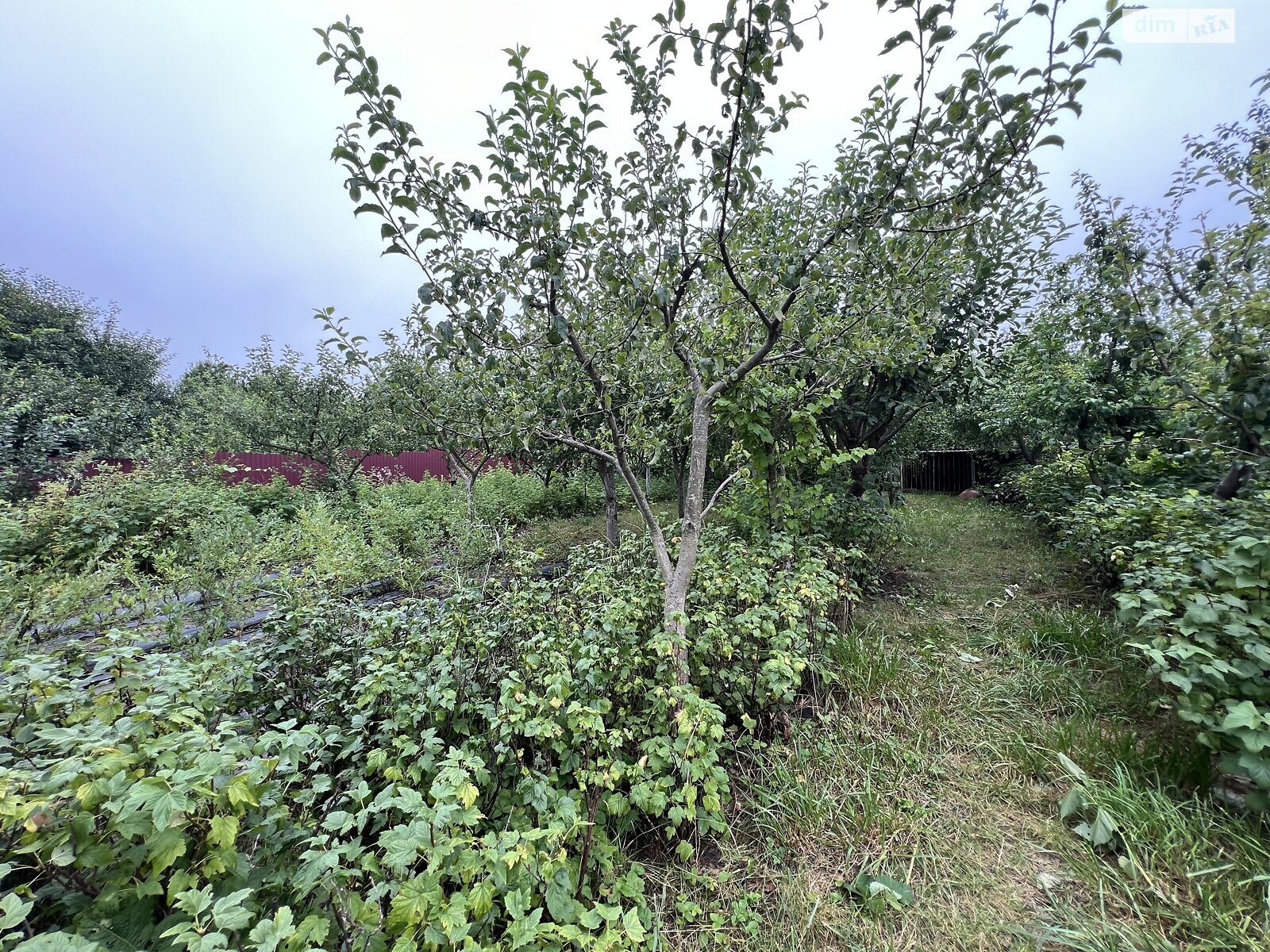 двоповерховий будинок, 129 кв. м, ракушняк. Продаж в Хмельницькому, район Лезневе фото 1