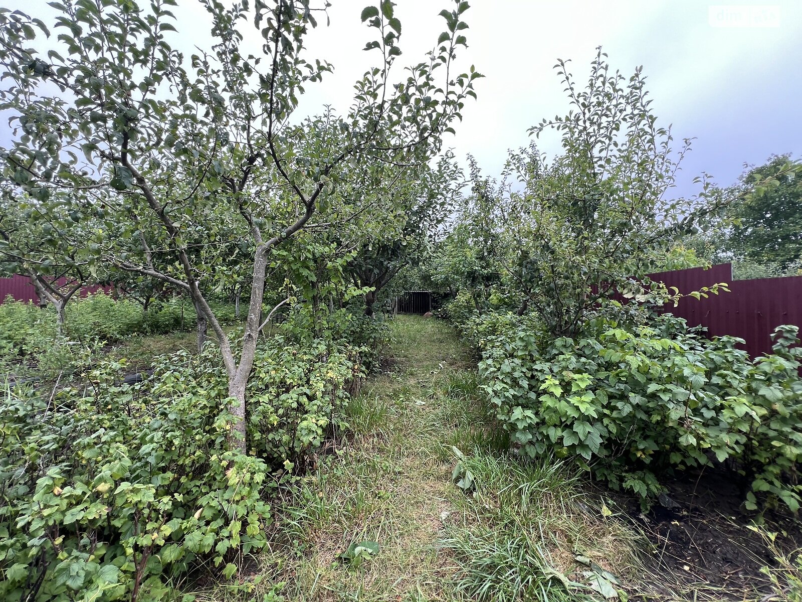 двухэтажный дом, 129 кв. м, ракушечник (ракушняк). Продажа в Хмельницком район Лезневое фото 1 двухэтажный дом, 129 кв. м, ракушечник (ракушняк). Продажа в Хмельницком район Лезневое фото 1