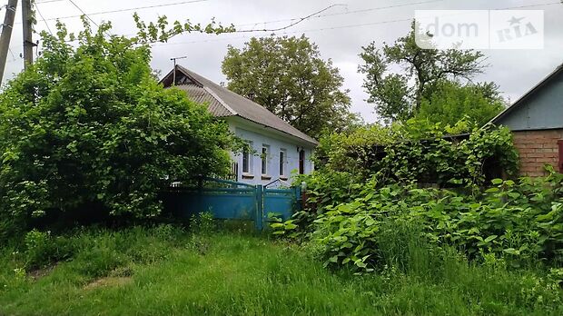 одноэтажный дом с садом, 50 кв. м, шлакоблок. Продажа в Малашовцах (Хмельницкая обл.) фото 1 одноэтажный дом с садом, 50 кв. м, шлакоблок. Продажа в Малашовцах (Хмельницкая обл.) фото 1