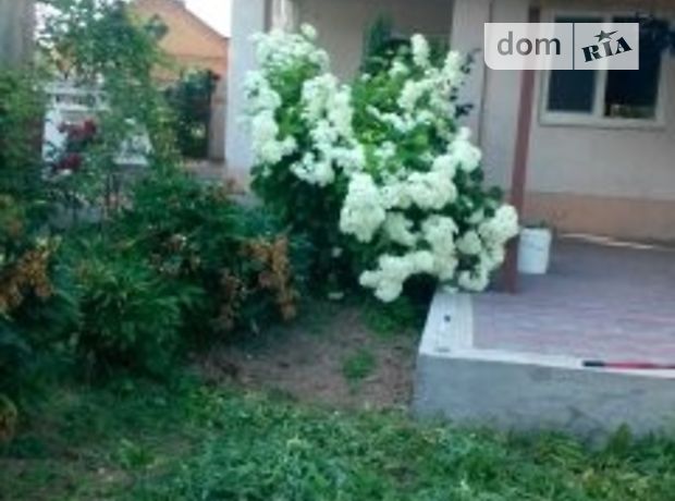 одноэтажный дом с садом, 49 кв. м, кирпич. Продажа в Пашковцах (Хмельницкая обл.) фото 1 одноэтажный дом с садом, 49 кв. м, кирпич. Продажа в Пашковцах (Хмельницкая обл.) фото 1