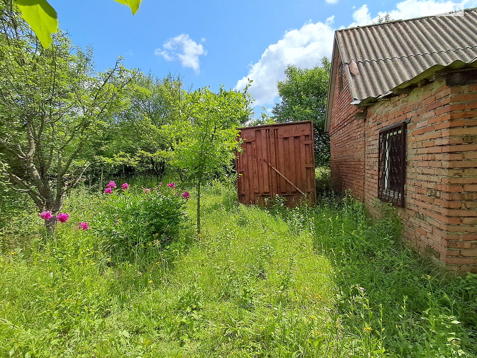 одноэтажный дом с гаражом, 25.1 кв. м, кирпич. Продажа в Хмельницком район Раково фото 1 одноэтажный дом с гаражом, 25.1 кв. м, кирпич. Продажа в Хмельницком район Раково фото 1