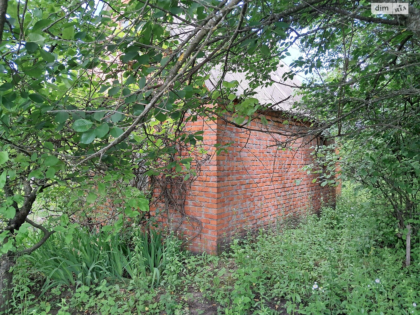 одноэтажный дом с гаражом, 25.1 кв. м, кирпич. Продажа в Хмельницком район Раково фото 1 одноэтажный дом с гаражом, 25.1 кв. м, кирпич. Продажа в Хмельницком район Раково фото 1