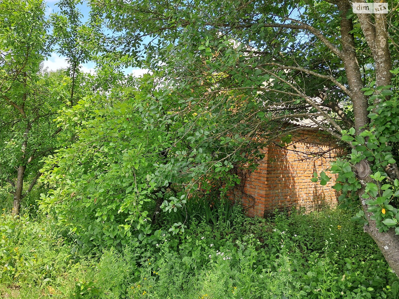 одноэтажный дом с гаражом, 25.1 кв. м, кирпич. Продажа в Хмельницком район Раково фото 1 одноэтажный дом с гаражом, 25.1 кв. м, кирпич. Продажа в Хмельницком район Раково фото 1