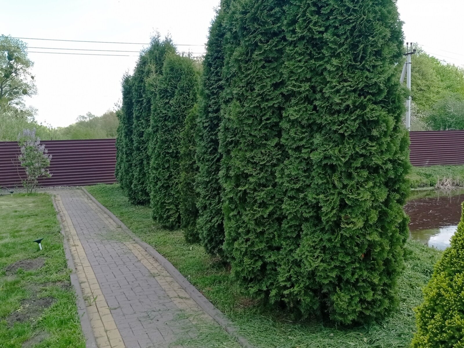 двухэтажный дом беседка, 168.5 кв. м, кирпич. Продажа в Хмельницком район Раково фото 1 двухэтажный дом беседка, 168.5 кв. м, кирпич. Продажа в Хмельницком район Раково фото 1