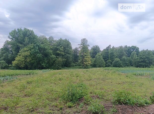 одноповерховий будинок веранда, 75 кв. м, цегла. Продаж у Ружичанці фото 1 одноповерховий будинок веранда, 75 кв. м, цегла. Продаж у Ружичанці фото 1