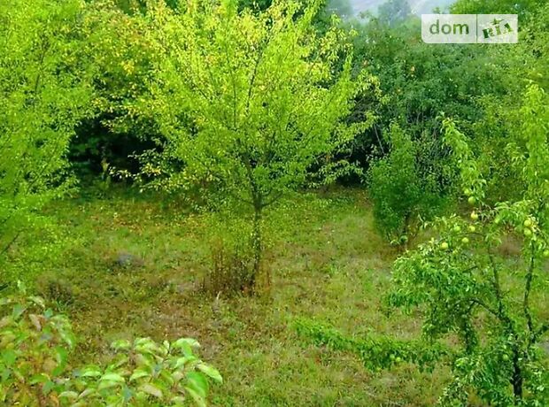 одноповерховий будинок, 39.5 кв. м, цегла. Продаж у Ружичанці фото 1 одноповерховий будинок, 39.5 кв. м, цегла. Продаж у Ружичанці фото 1