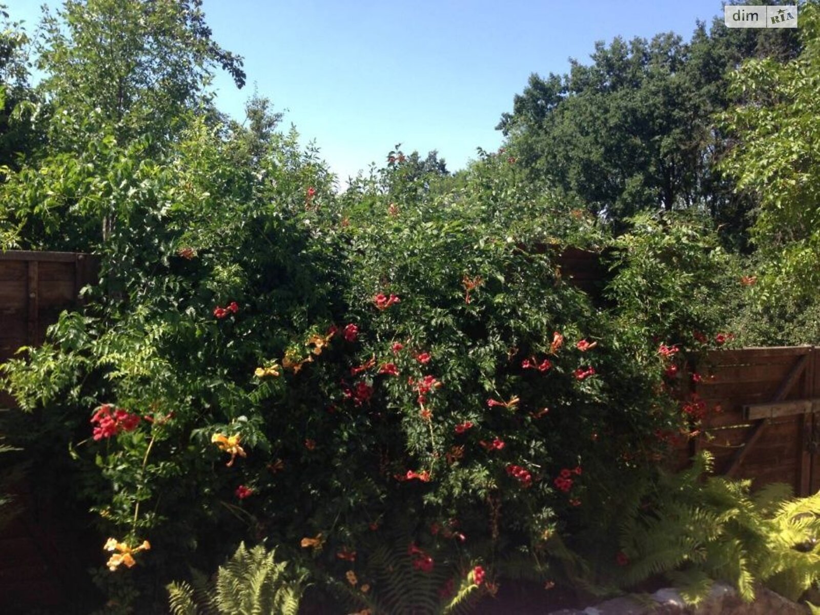 двухэтажный дом с гаражом, 145 кв. м, кирпич. Продажа в Хмельницком район Ружична фото 1