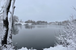 одноэтажный дом, 110 кв. м, газобетон. Продажа в Хмельницком район Дубово фото 2