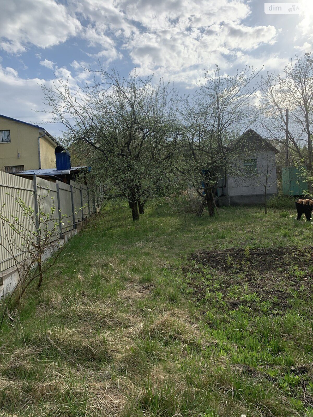 одноповерховий будинок, 35 кв. м, кирпич. Продаж у Розсоші фото 1 одноповерховий будинок, 35 кв. м, кирпич. Продаж у Розсоші фото 1