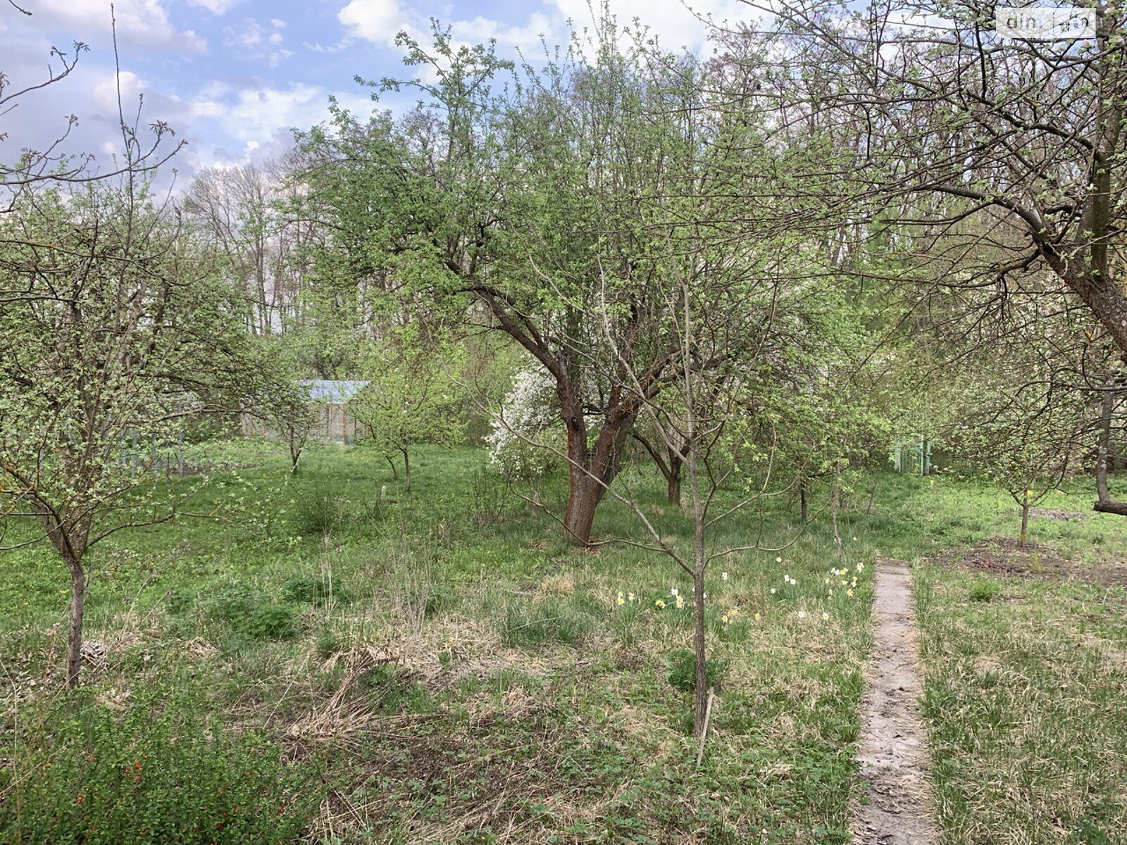 одноповерховий будинок, 35 кв. м, кирпич. Продаж у Розсоші фото 1 одноповерховий будинок, 35 кв. м, кирпич. Продаж у Розсоші фото 1