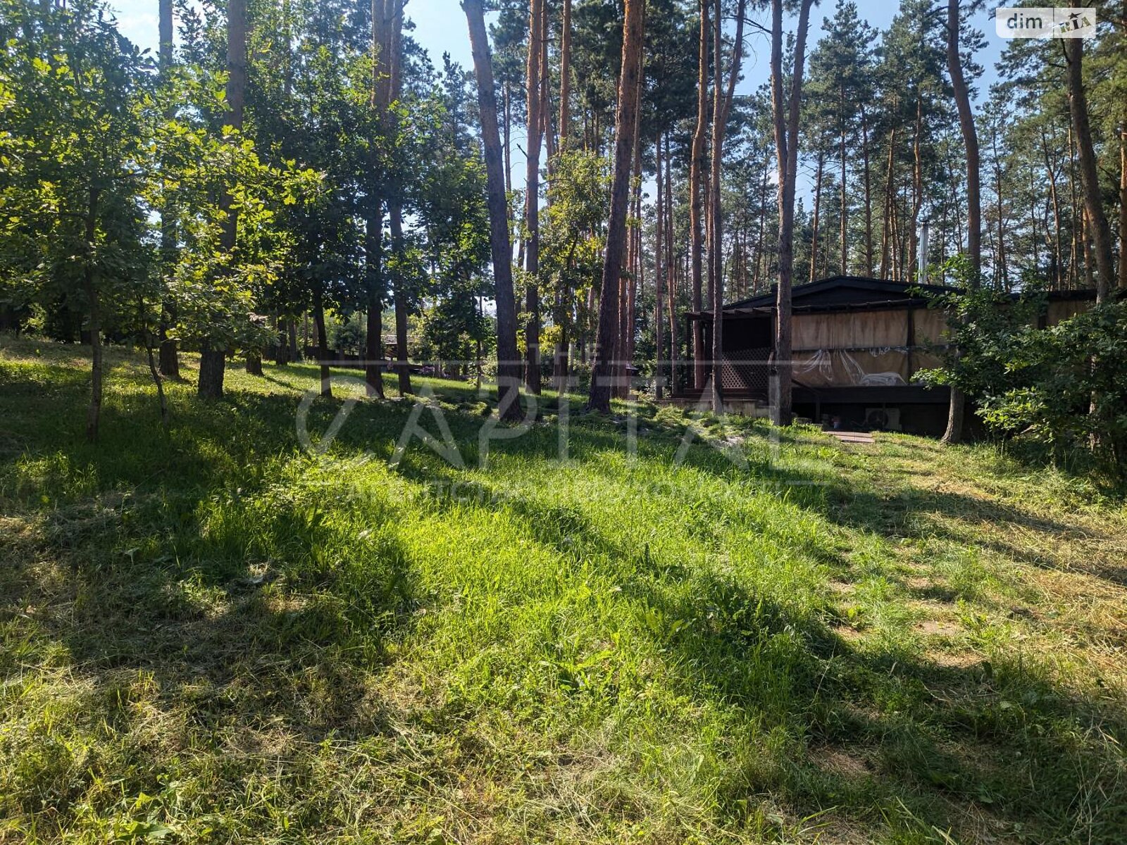 одноэтажный дом с отоплением, 127 кв. м, СИП. Продажа в Ходосовке фото 1 одноэтажный дом с отоплением, 127 кв. м, СИП. Продажа в Ходосовке фото 1