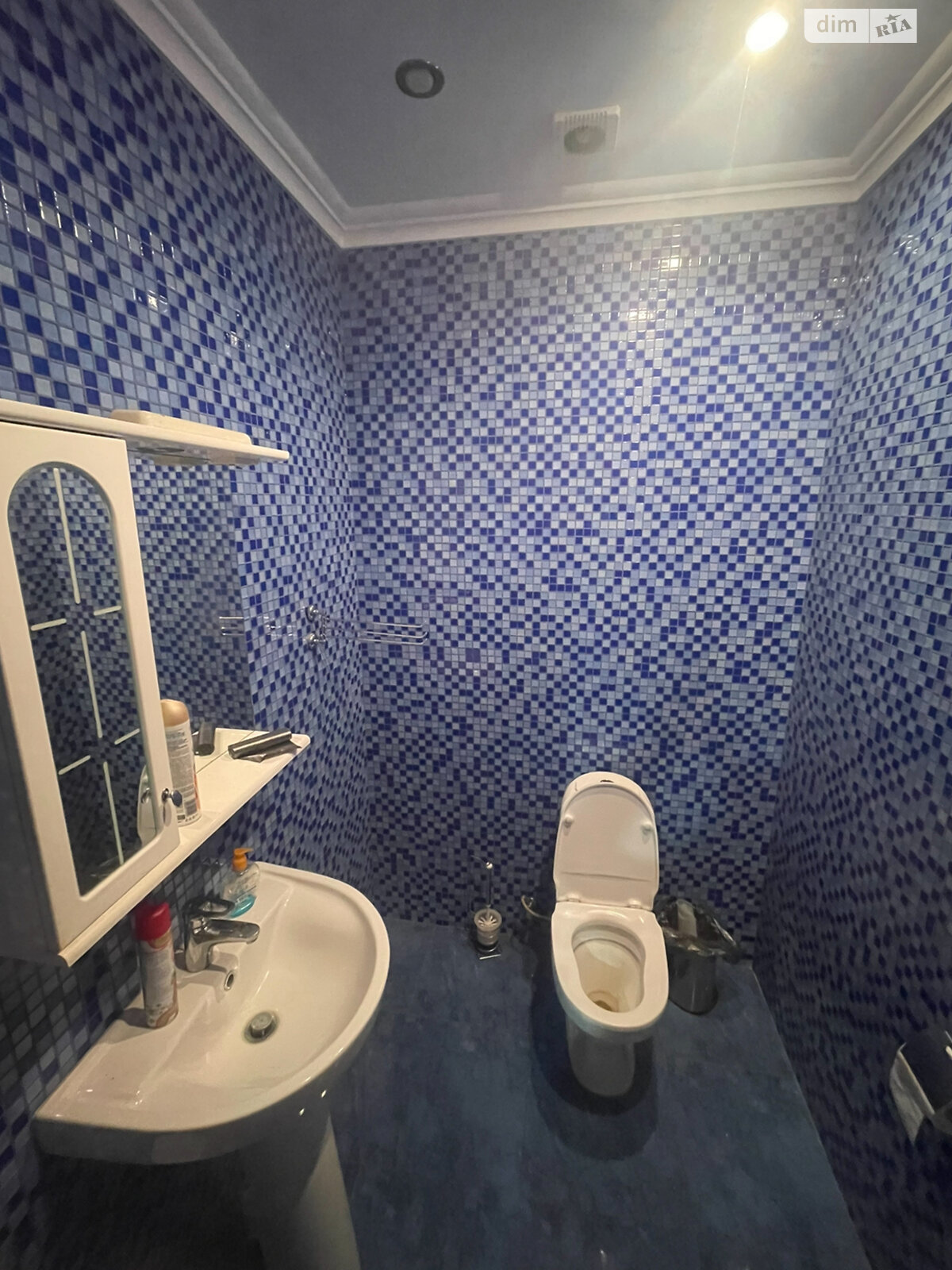 двоповерховий будинок з верандою, 500 кв. м, цегла. Продаж у Ходосівкі фото 1 двоповерховий будинок з верандою, 500 кв. м, цегла. Продаж у Ходосівкі фото 1