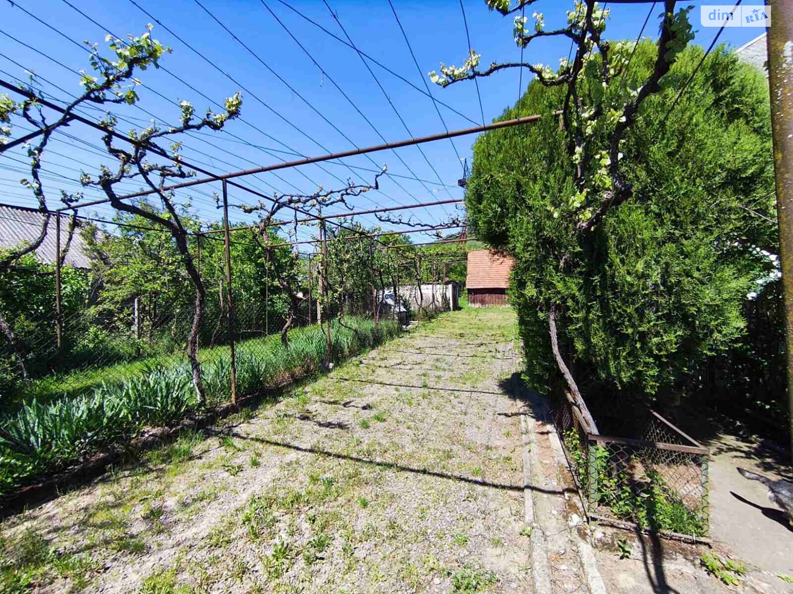 одноповерховий будинок з гаражем, 120 кв. м, цегла. Продаж у Холмеці фото 1 одноповерховий будинок з гаражем, 120 кв. м, цегла. Продаж у Холмеці фото 1