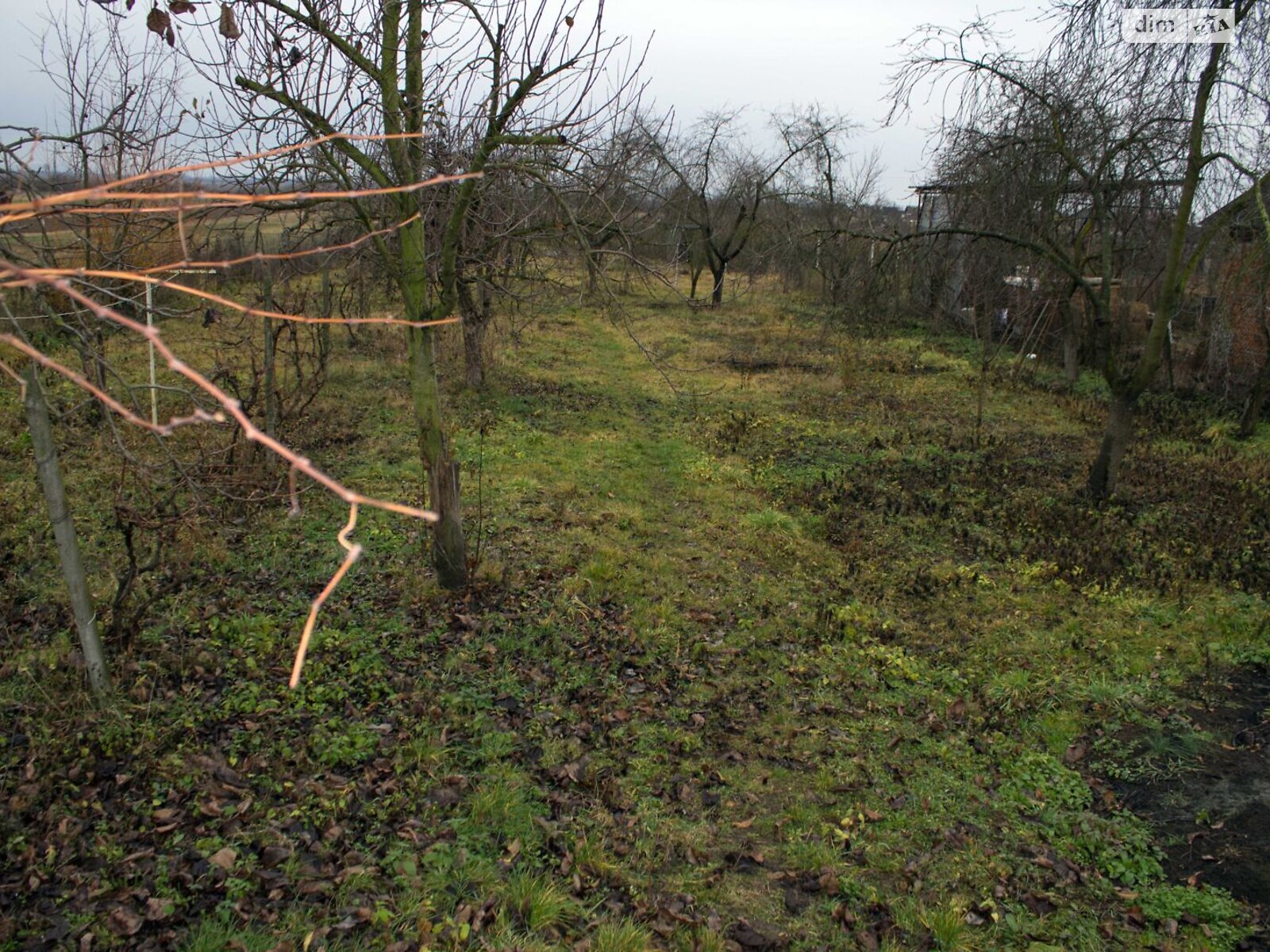 одноповерховий будинок, 150 кв. м, цегла. Продаж у Холмеці фото 1 одноповерховий будинок, 150 кв. м, цегла. Продаж у Холмеці фото 1
