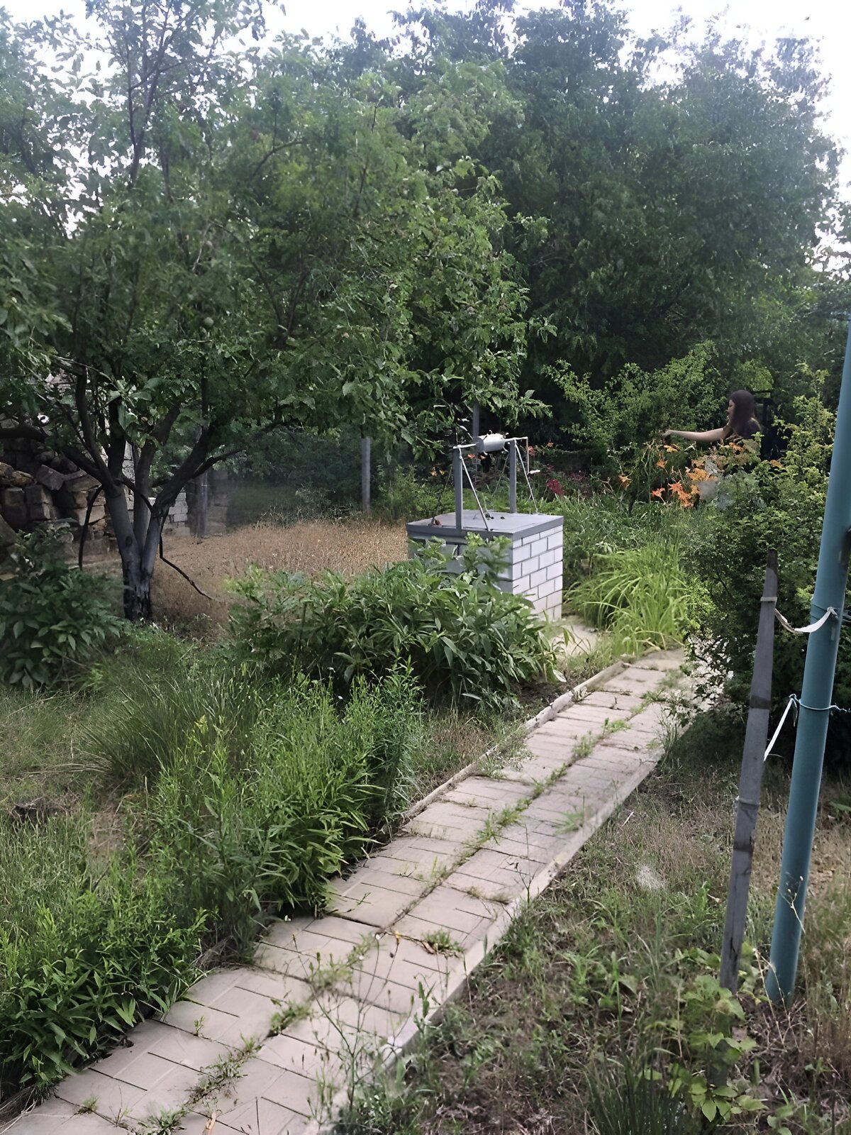 одноэтажный дом, 25 кв. м, ракушечник (ракушняк). Продажа в Хоминке фото 1 одноэтажный дом, 25 кв. м, ракушечник (ракушняк). Продажа в Хоминке фото 1
