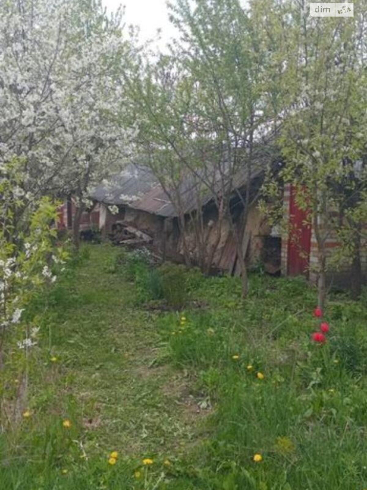 одноэтажный дом с верандой, 50 кв. м, дерево и кирпич. Продажа в Хорошем Озере фото 1 одноэтажный дом с верандой, 50 кв. м, дерево и кирпич. Продажа в Хорошем Озере фото 1