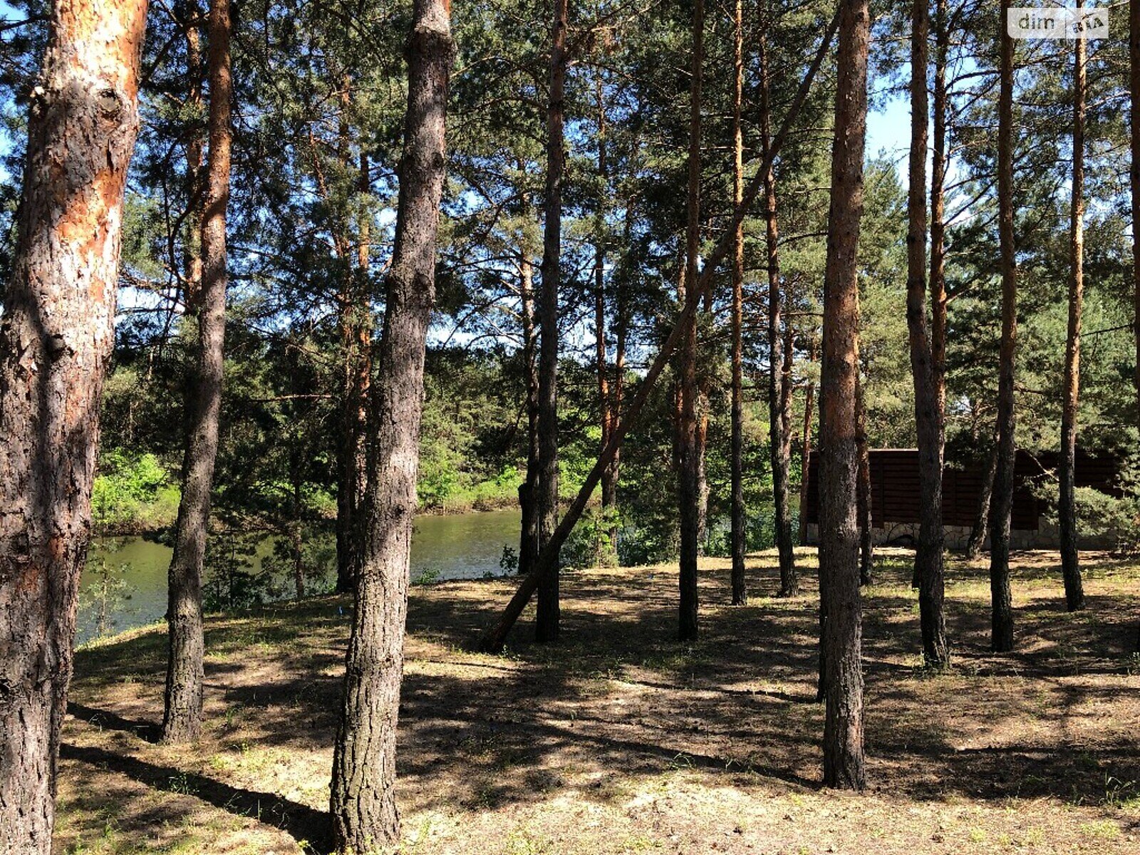 одноэтажный дом, 420 кв. м, кирпич. Продажа в Лебедевке фото 1 одноэтажный дом, 420 кв. м, кирпич. Продажа в Лебедевке фото 1