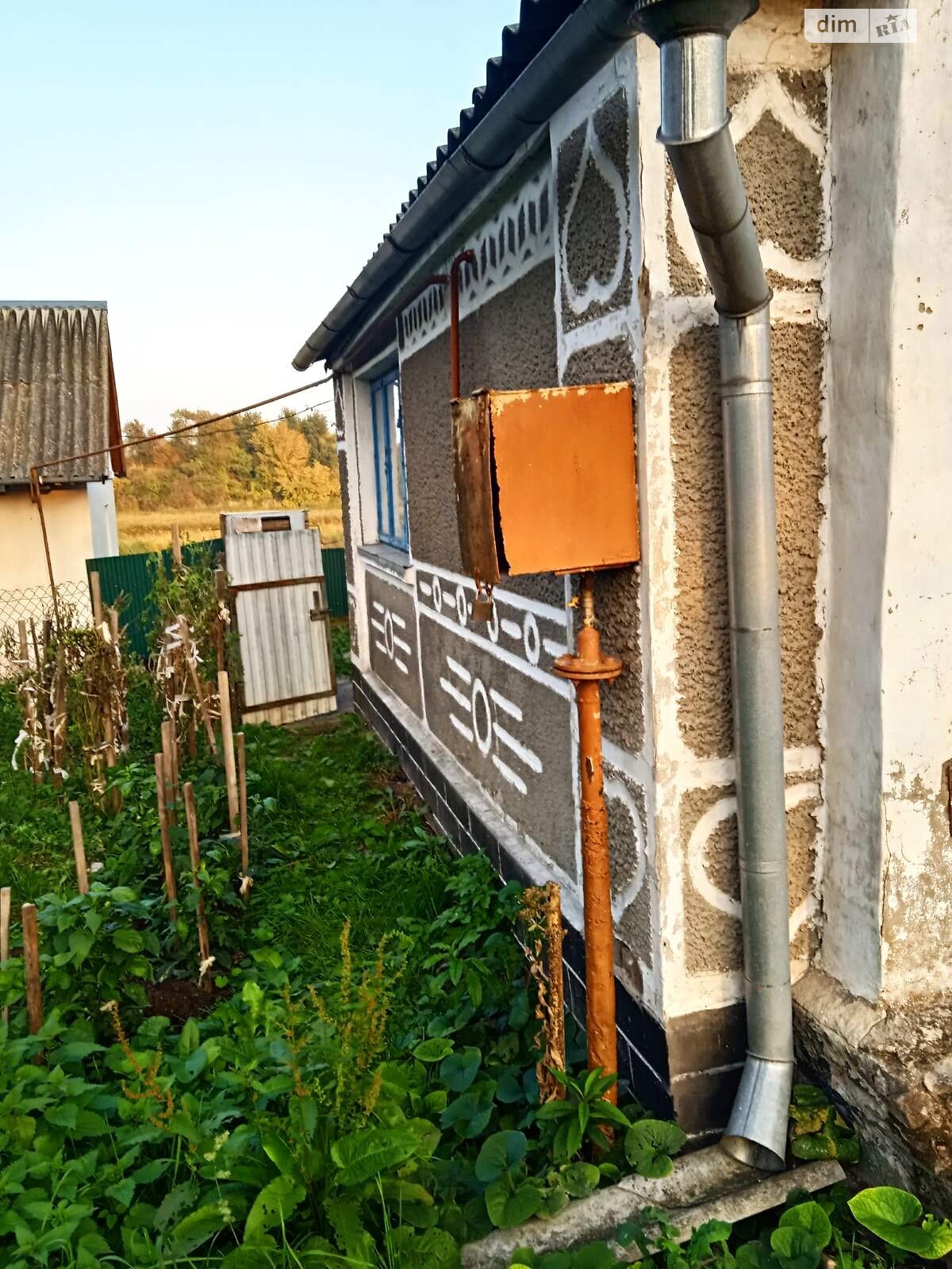 одноповерховий будинок з опаленням, 75 кв. м, цегла. Продаж у Хрипаличі фото 1