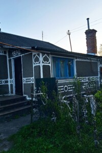 одноповерховий будинок з опаленням, 75 кв. м, цегла. Продаж у Хрипаличі фото 2