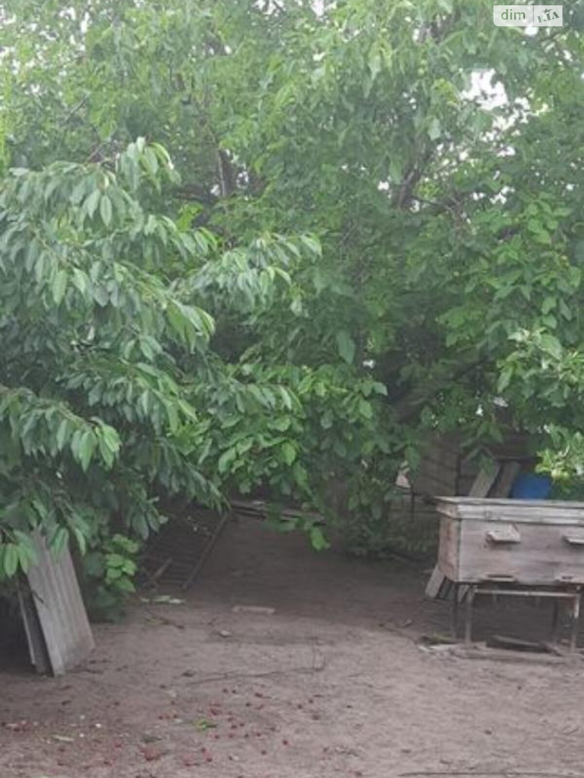 одноэтажный дом с верандой, 75 кв. м, кирпич. Продажа в Хрущовке фото 1 одноэтажный дом с верандой, 75 кв. м, кирпич. Продажа в Хрущовке фото 1
