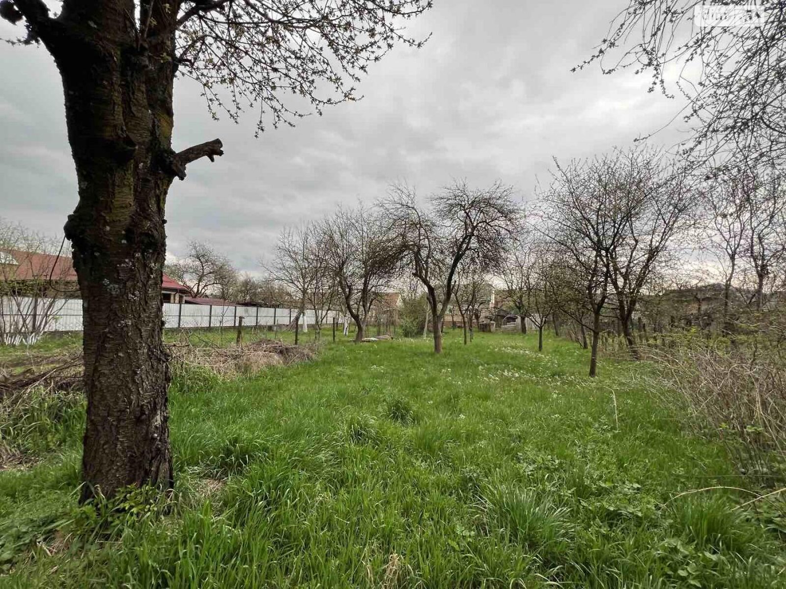 двоповерховий будинок, 135 кв. м, кирпич. Продаж у Хусті фото 1 двоповерховий будинок, 135 кв. м, кирпич. Продаж у Хусті фото 1