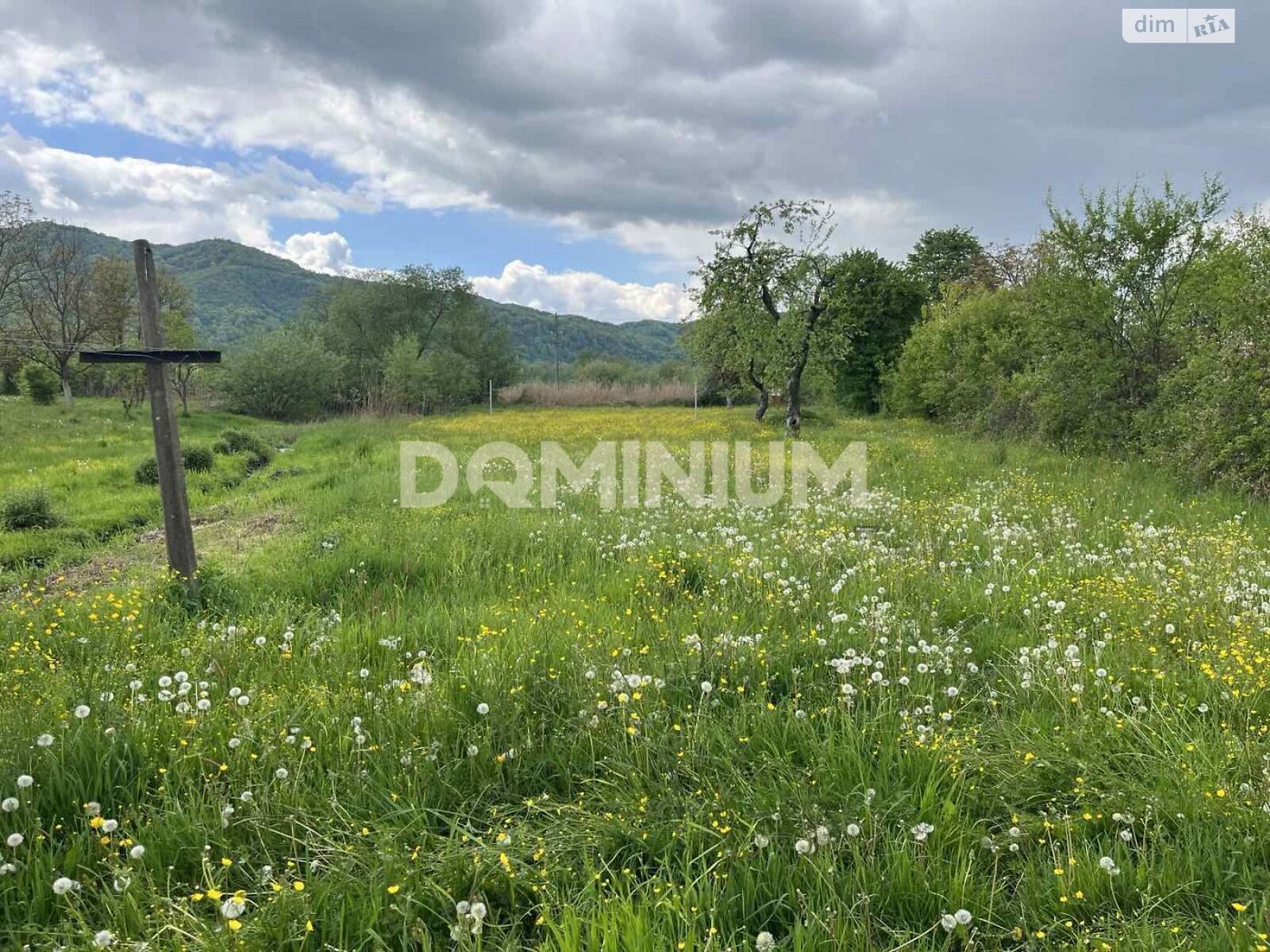 одноэтажный дом, 113 кв. м, кирпич. Продажа в Хусте фото 1 одноэтажный дом, 113 кв. м, кирпич. Продажа в Хусте фото 1