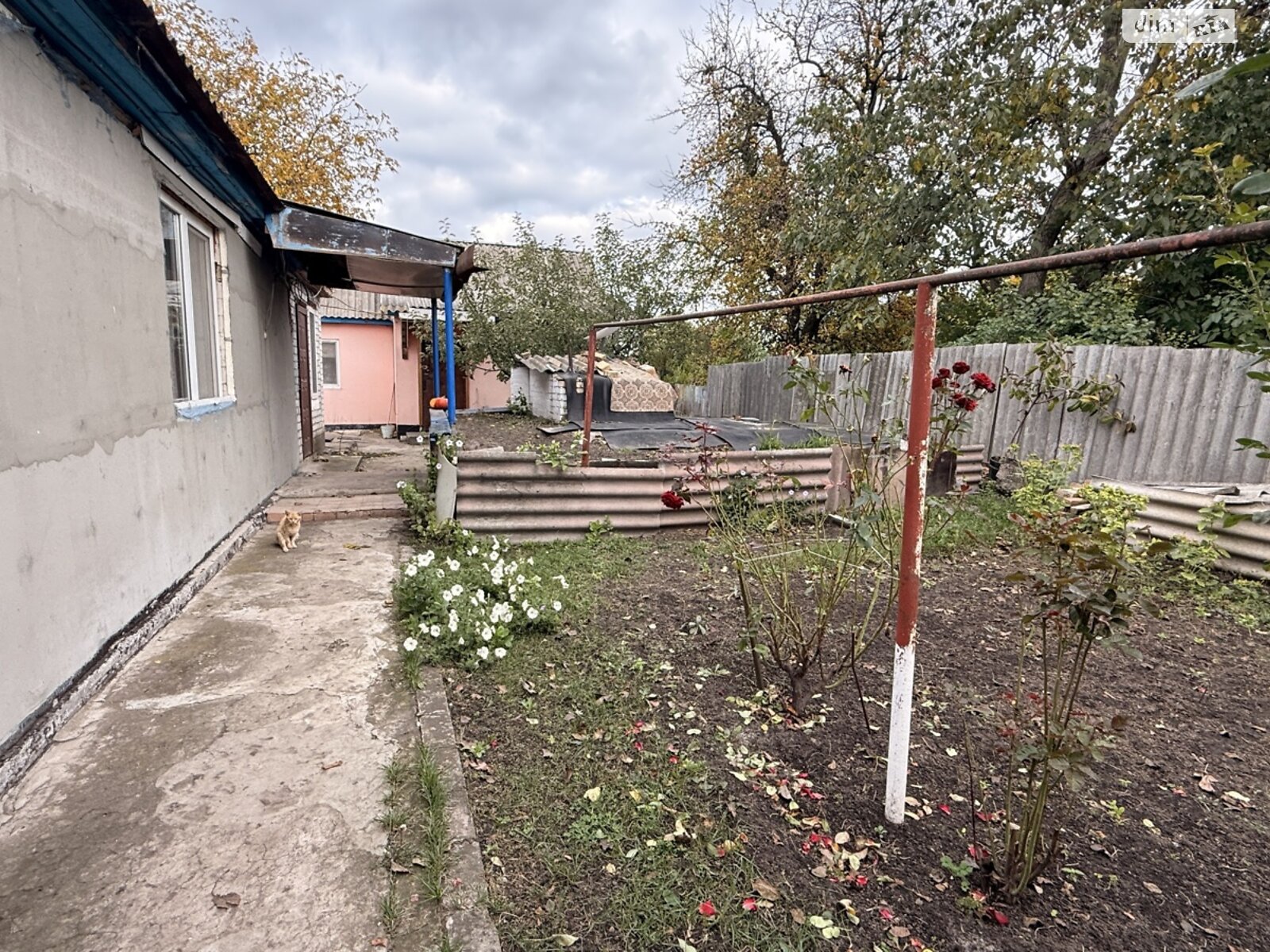 одноповерховий будинок з верандою, 77.3 кв. м, цегла саманна. Продаж у Хутора фото 1 одноповерховий будинок з верандою, 77.3 кв. м, цегла саманна. Продаж у Хутора фото 1