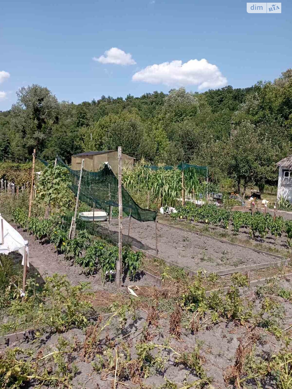 двоповерховий будинок з верандою, 70 кв. м, дерево та цегла. Продаж у Хвилеве-Сорочині фото 1 двоповерховий будинок з верандою, 70 кв. м, дерево та цегла. Продаж у Хвилеве-Сорочині фото 1