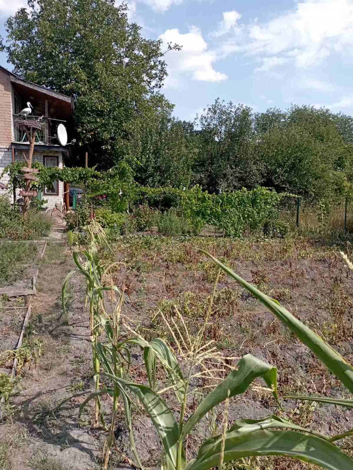 двоповерховий будинок з верандою, 70 кв. м, дерево та цегла. Продаж у Хвилеве-Сорочині фото 1 двоповерховий будинок з верандою, 70 кв. м, дерево та цегла. Продаж у Хвилеве-Сорочині фото 1