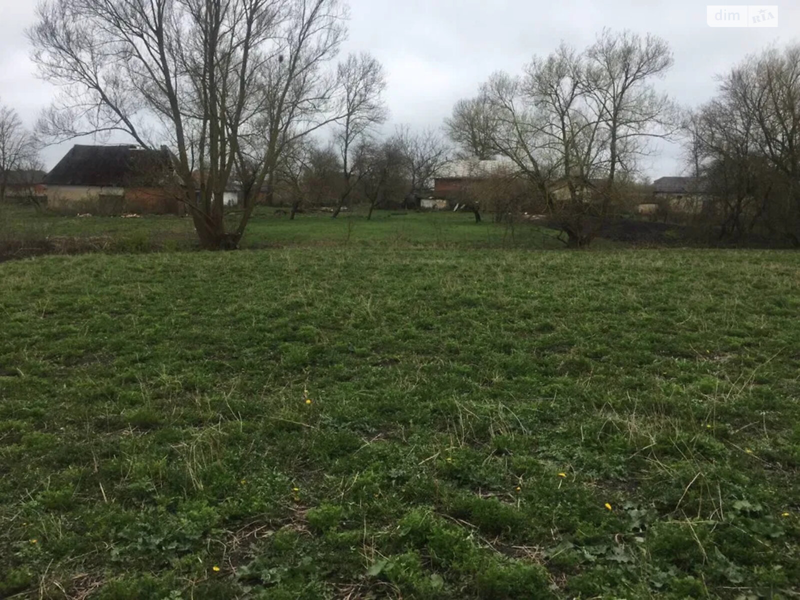 одноповерховий будинок, 115 кв. м, цегла. Продаж у Ілавче фото 1