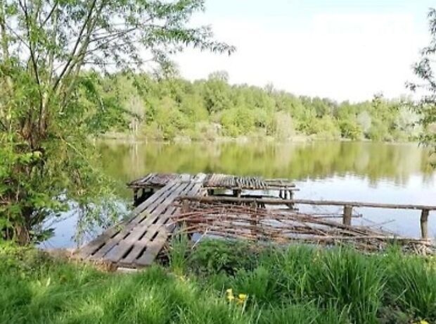 одноповерховий будинок з садом, 100 кв. м, цегла. Продаж в Дашеві (Вінницька обл.) фото 1 одноповерховий будинок з садом, 100 кв. м, цегла. Продаж в Дашеві (Вінницька обл.) фото 1