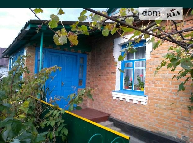 одноповерховий будинок з садом, 90 кв. м, цегла. Продаж в Іллінецькому (Вінницька обл.) фото 1 одноповерховий будинок з садом, 90 кв. м, цегла. Продаж в Іллінецькому (Вінницька обл.) фото 1