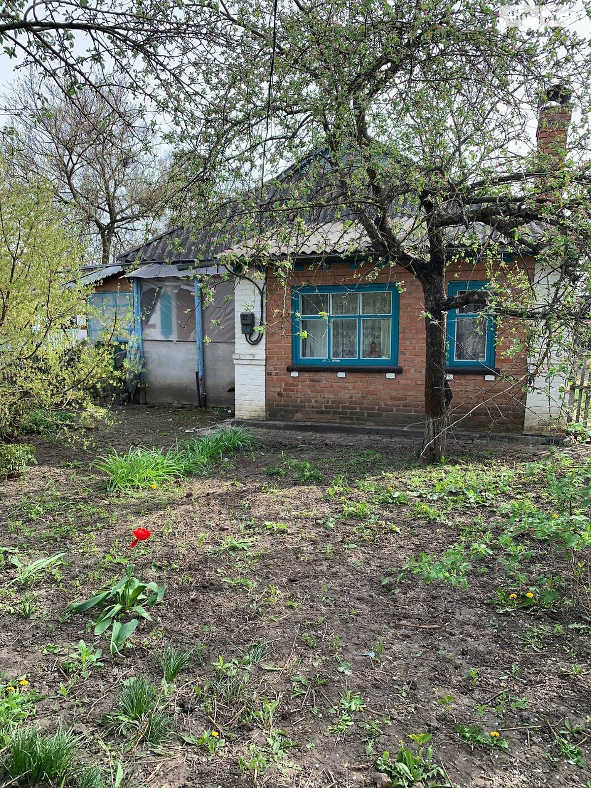 одноповерховий будинок з гаражем, 67 кв. м, кирпич. Продаж в Іллінцях, район Іллінці фото 1 одноповерховий будинок з гаражем, 67 кв. м, кирпич. Продаж в Іллінцях, район Іллінці фото 1