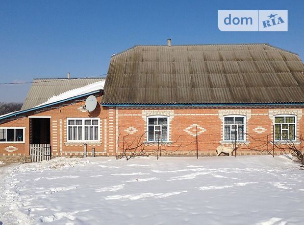 одноэтажный дом с садом, 170 кв. м, кирпич. Продажа в Шабельне (Винницкая обл.) фото 1 одноэтажный дом с садом, 170 кв. м, кирпич. Продажа в Шабельне (Винницкая обл.) фото 1