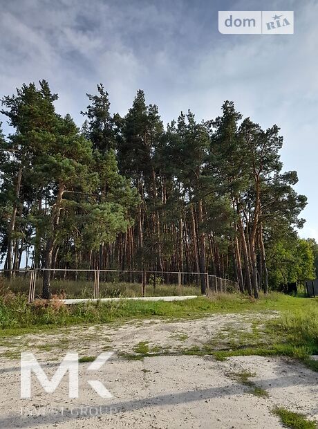 двухэтажный дом с камином, 112 кв. м, керамический блок. Продажа в Гостомеле (Киевская обл.) фото 1 двухэтажный дом с камином, 112 кв. м, керамический блок. Продажа в Гостомеле (Киевская обл.) фото 1